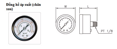 Đồng hồ áp suất 01